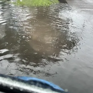 Flooded driveway because the streets were flooding.