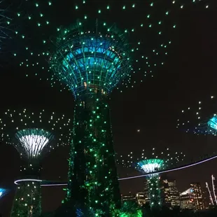 Garden by the Bay, Songapore! Call Low Fare Travel to arrange your trip to Singapore!