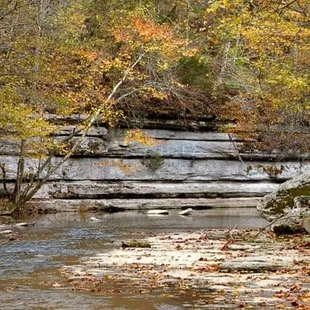Lower Howard's Creek Nature Preserve