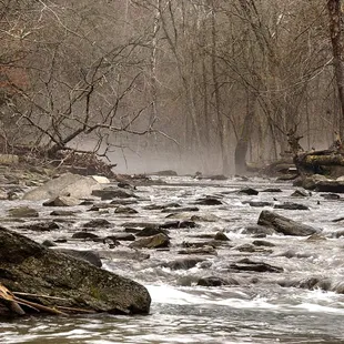 Lower Howard&apos;s Creek Nature Preserve