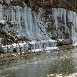 Winter at Lower Howard&apos;s Creek Nature Preserve