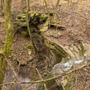 Lower Howard&apos;s Creek Nature Preserve