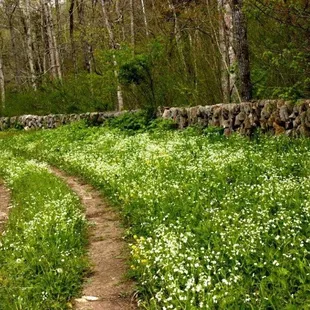 Lower Howard&apos;s Creek Nature Preserve