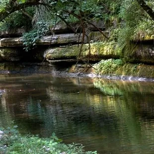 Summertime at Lower Howard&apos;s Creek Nature Preserve