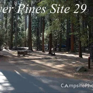 Site #29