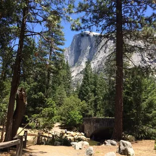 View of half dome from our campsite.