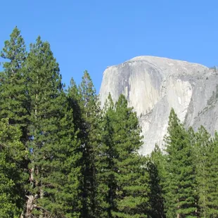 View from Meadow right outside of Lower Pines.