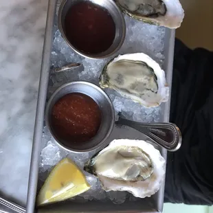 Fresh Oysters