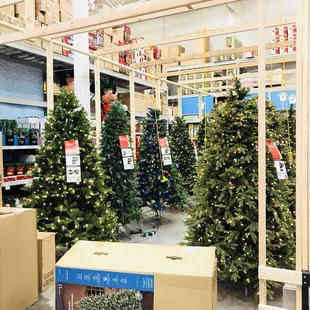 It's Beginning to look a lot like Christmas...