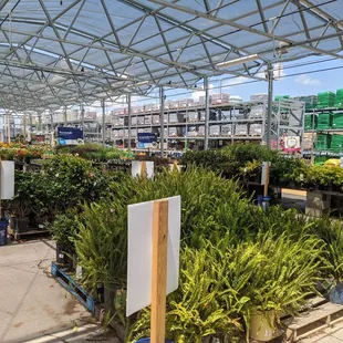 Outside plants