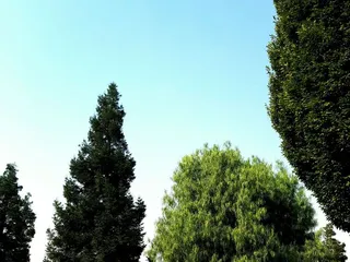 Gretchen Talley Park