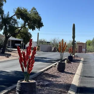 Beautiful selection of pots and flowers for our HOA