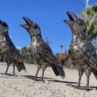 2 foot tall fun ravens!