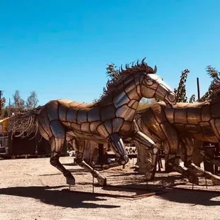 Running horses.