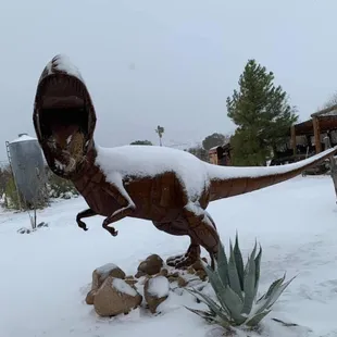 Metal t-Rex! Enjoying the snow