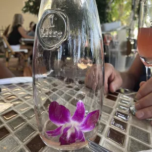 Well We had MIMOSAS (3)