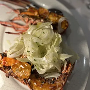 Lobster and Fennel