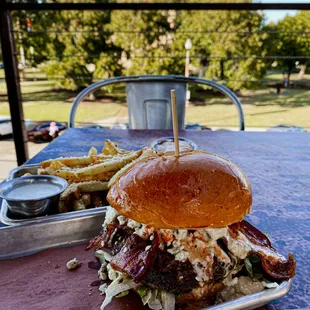 Stevie Burger &amp; Garlic Parm Herb Fries (with a view of the Courthouse)