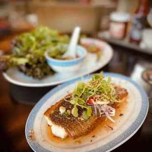 The Fried Sea Bass and Spring Rolls