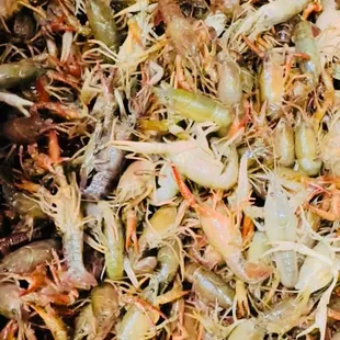 New Seasonal Live Crawfish arrived