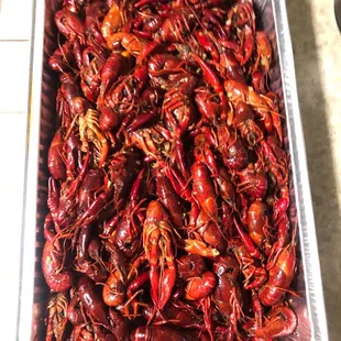 10lbs. Crawfish, spicy, garlic butter.