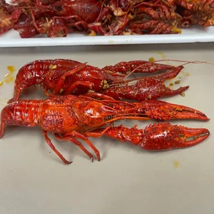 Cajun Spice Crawfish