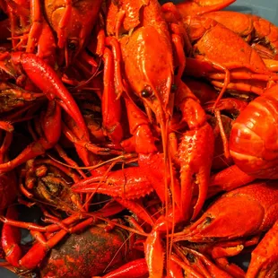 Crawfish