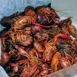 Crawfish