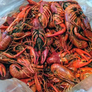 Crawfish