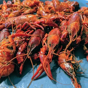 Crawfish