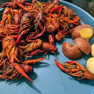 Crawfish