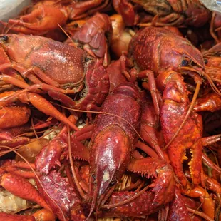 Boiled Crawfish