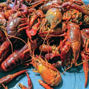 Crawfish