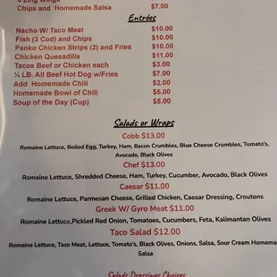 Apps, Entré and Salads/Wraps menu