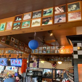 Dog pictures from customers on all the walls