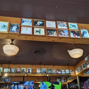 So many photos of doggos!