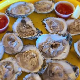 Raw oysters