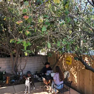 Outdoor Patio.