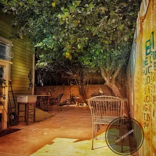 Outdoor back yard