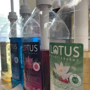 Lotus Energy DRINK