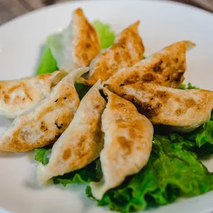 Pot Stickers(Chicken or Pork) 锅贴