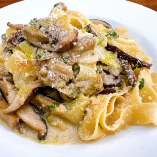 Wild Mushroom Pappardelle