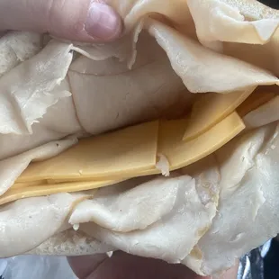 Turkey and Mozzarella Sub