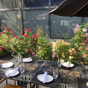 Friday, 24 May 2024 -- outside on their patio