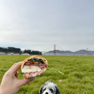 The Caprese with Prosciutto (w/ "everything" except mustard) $15