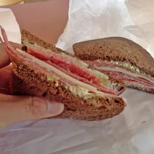 Salsa Turkey on Dark Rye