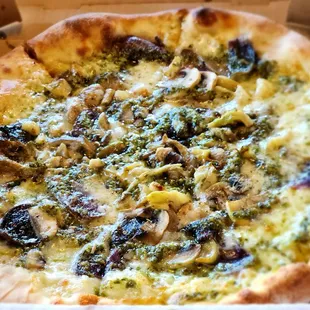 Truffle shrooms