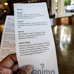 a hand holding a menu