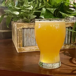 DDH West Rive IPA