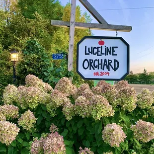 A wonderful orchard+ for the whole family in Watertown